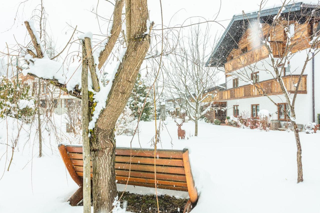 Haus Alexandra Lägenhet Werfenweng Exteriör bild
